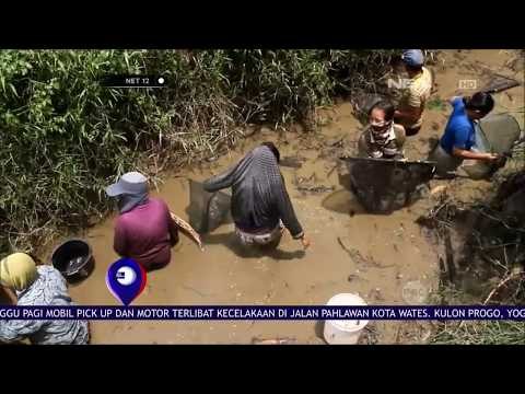 Tradisi Tangkap Ikan Warga Mempawah NET 12