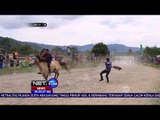 Ajang Lomba Pacuan Kuda Tradisional Kota Takengon - NET 24