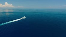 One Ocean