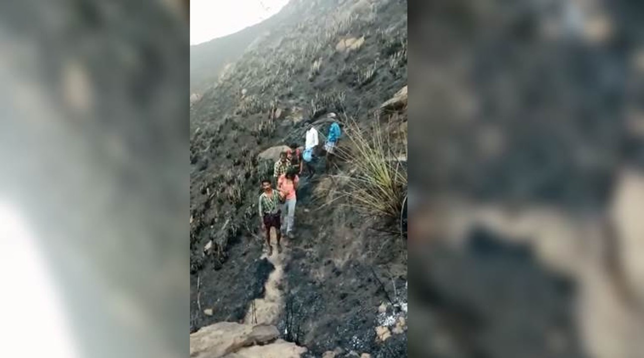 பற்றி எறிந்த குரங்கணி வனம் .. சிக்கிய மாணவிகள்.. வீடியோ