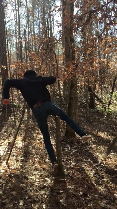 Casser un arbre avec son pied... ça fait mal !