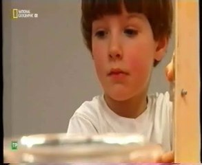 Test del cacahuete: Simios vs humanos (Solucion de problemas)