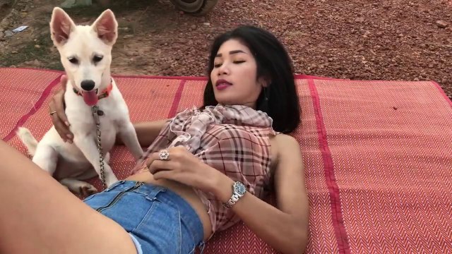 Lovely smart girl Playing Baby Cute Dogs On Rice Fields How to play with dog & Feed baby dogs #4