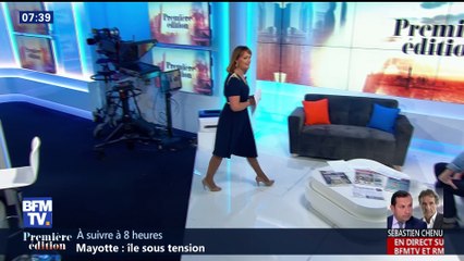 Selfie de manchots sur la banquise