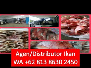 PROMO!! WA +62 813 8630 2450 Ikan Salmon untuk Hotel di Depok