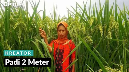 #1MENIT | Padi 2 Meter