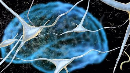 Why Animals Are Needed in Research