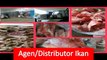 PROMO!! WA +62 813 8630 2450 Ikan Tuna Kualitas Export di Depok