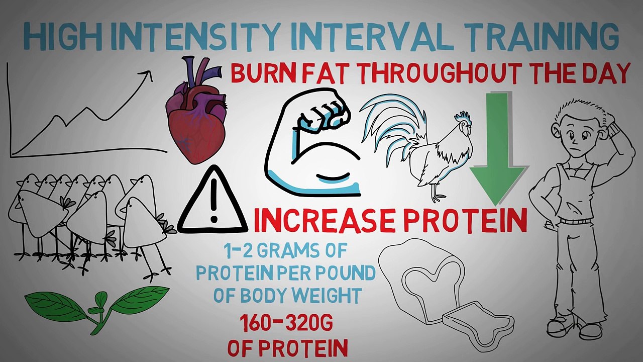 How To Get a SIX PACK - Tips to build muscle and lose belly fat to show your y 6 pack abs!