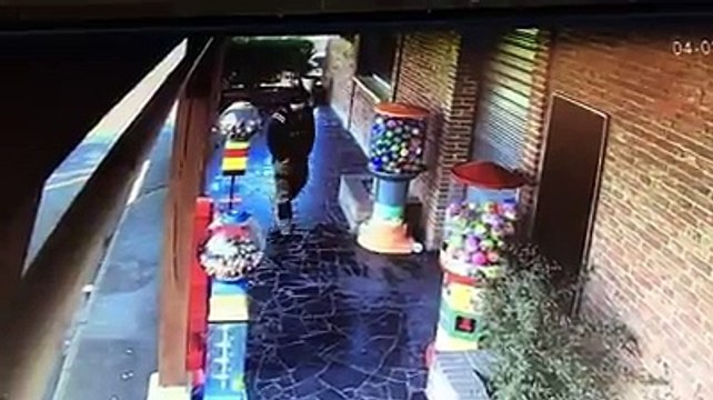 Un voleur dérobe un distributeur de chewing-gums