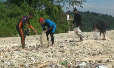 Berenang Sekaligus Bersih - Bersih Laut di Merak