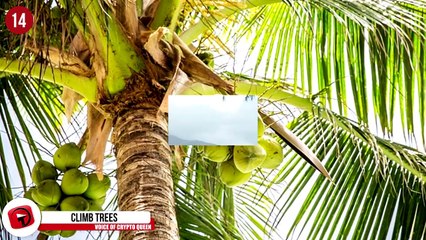 16 Fun Things to Do Stranded on a Deserted Island