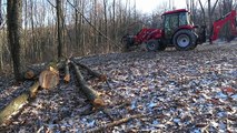 #132 Clearing Trees, Digging Stumps on A Frosty Saturday Morning!