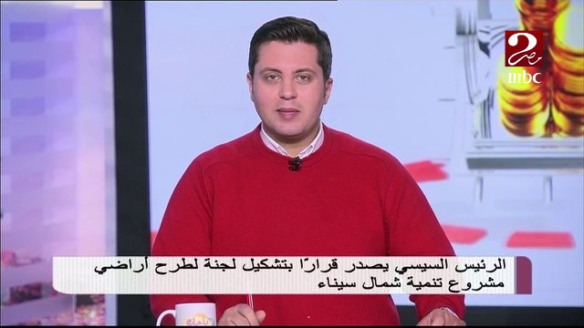 الرئيس السيسي يصدر قرارا بتشكيل لجنة لطرح أراضي مشروع تنمية شمال سيناء