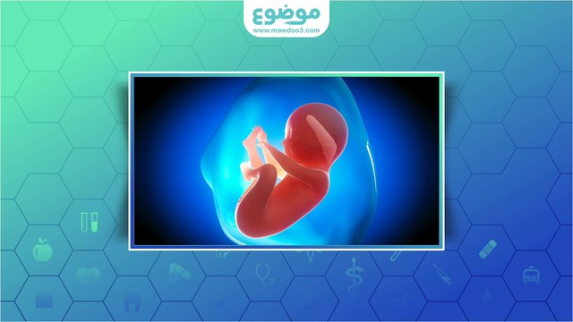 متى يتحرك الجنين في بطن أمه