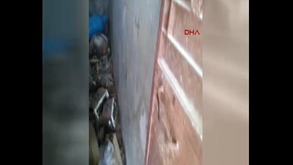 Cinderesi'nde teröristlerin sakladığı mayınlar ele geçirildi