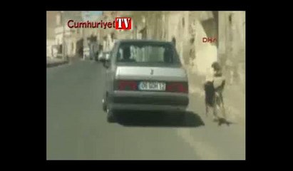 Zincirle bağladığı köpeği otomobiliyle koşturdu