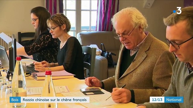 Bois : razzia chinoise sur le chêne français