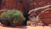 Wadi Rum, Jordan in 4K Ultra HD