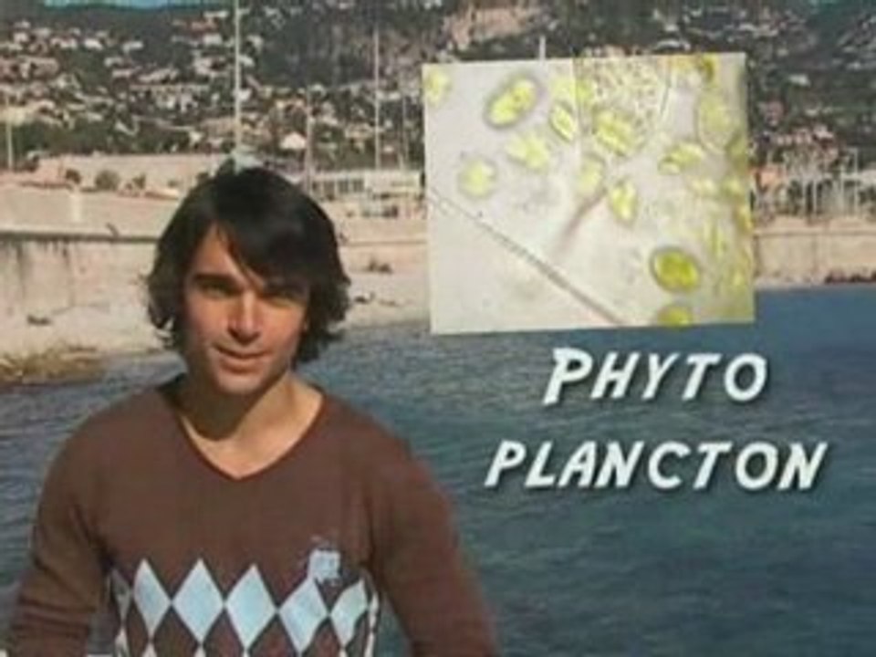 Explorateurs des Mers à Villefranche-sur-Mer