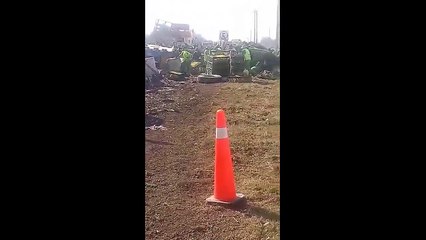 Cientos de pollos quedan regados tras volcadura de tráiler