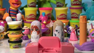 Littlest Pet Shop Play Doh Fuzzy Pumper Pet Parlor with lots of Play Doh colors crazy stuff