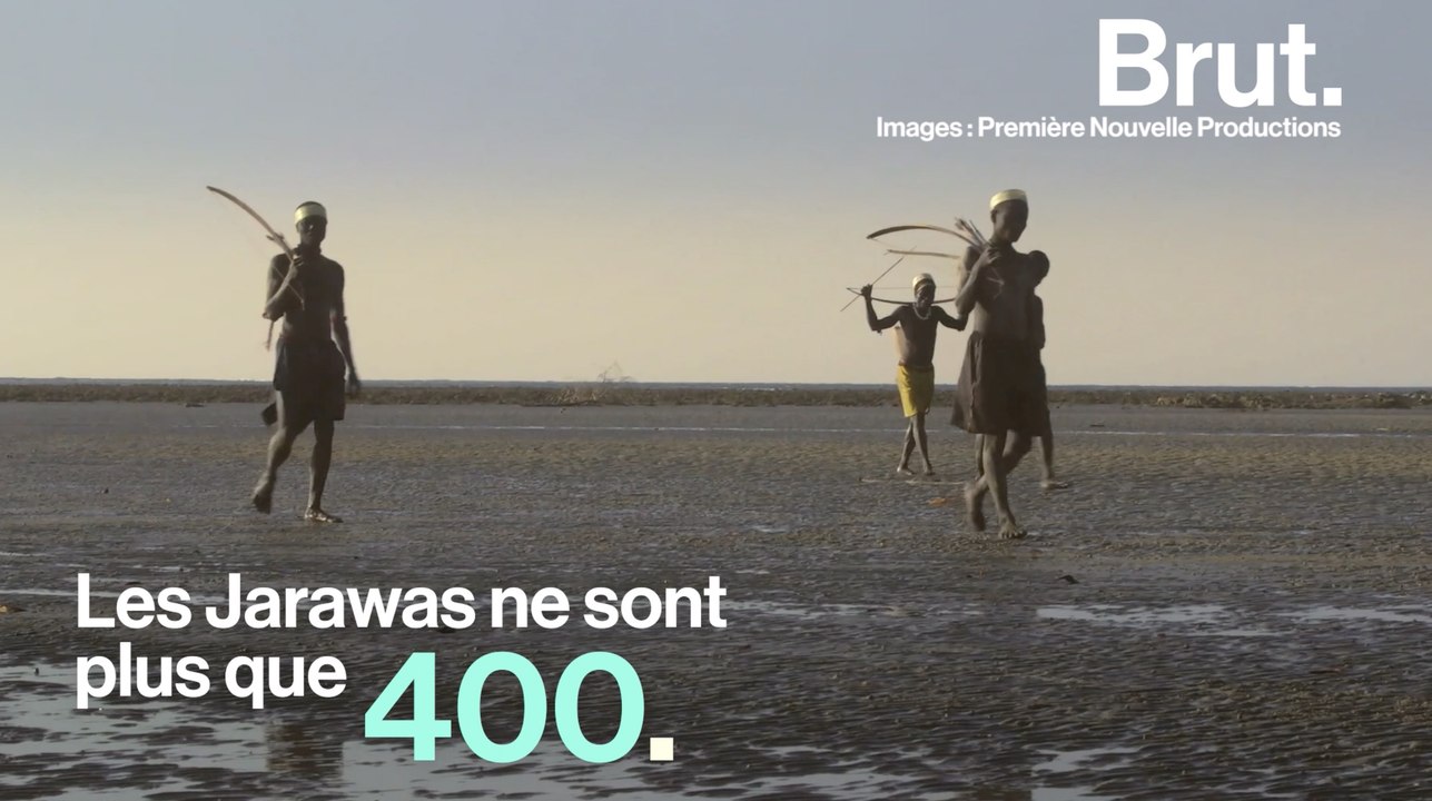 Safaris humains, kidnappings, braconnage... Le peuple jarawa menacé