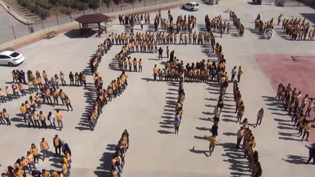 700 Öğrenci Bir Araya Gelerek Zeytin Dalı Yazıp, Türk Bayrağı Oluşturdu