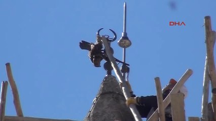 Şanlıurfa Minare Alemine Ayağı Takılan Atmacayı Kurtarma Operasyonuek