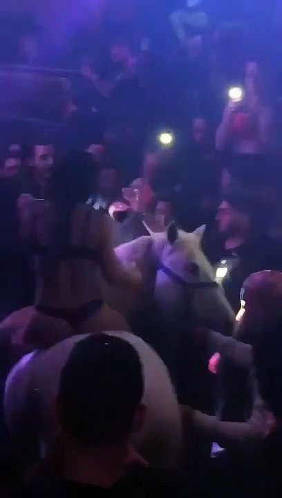 Une danseuse rentre à cheval en boite de nuit et le cheval n'apprécie pas trop l'ambiance