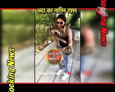 When Naagin Met Naag