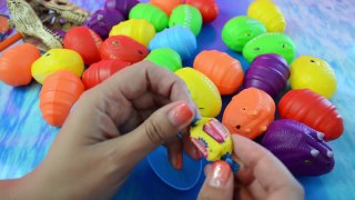 DINO YUMURTA HUNT Paskalya çocuklar için dinozor yumurtaları oyuncaklar videoları sürpriz