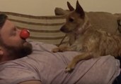 Cute Dog Thinks Comic Relief Red Nose Is Her Toy