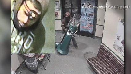 Watch: California Man Steals Gumball Machine from Animal Shelter