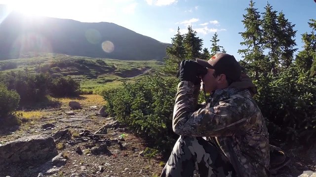 Big Colorado Mule Deer Buck - Archery Hunt new