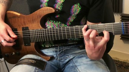 Hufschmid 7 string 'Tantalum' clean tones by Julien Lamarre !