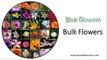 Bulk Flowers - Whole Blossoms
