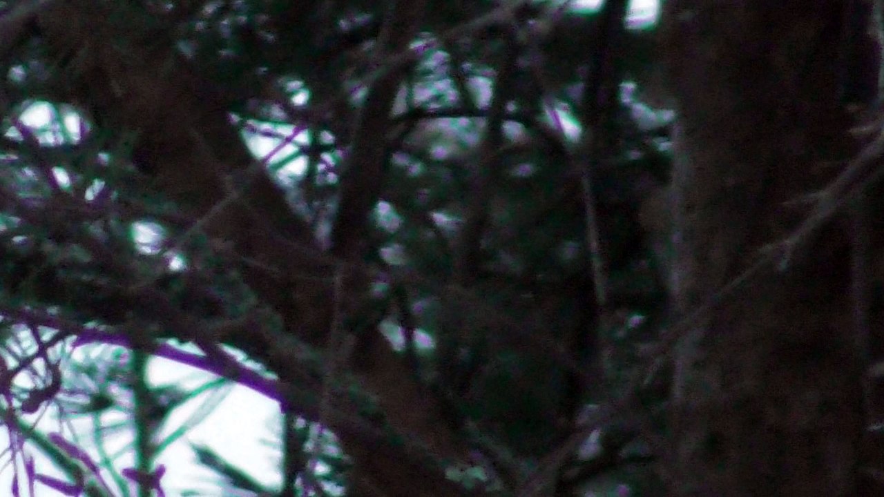 March 12 2018 DL15