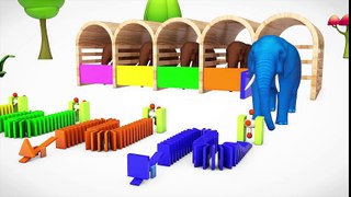 Learn Color & Learn Shapes Spinning Elephant Animals W 3D Cartoon Nursery Rhymes Song For Kids