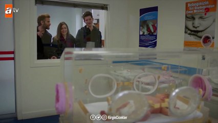 Songül yoğun bakımda! - Kırgın Çiçekler 113.Bölüm (Final)