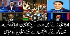 54 senators had promised to vote for us, but some pulled out in end: senator Javed Abbasi