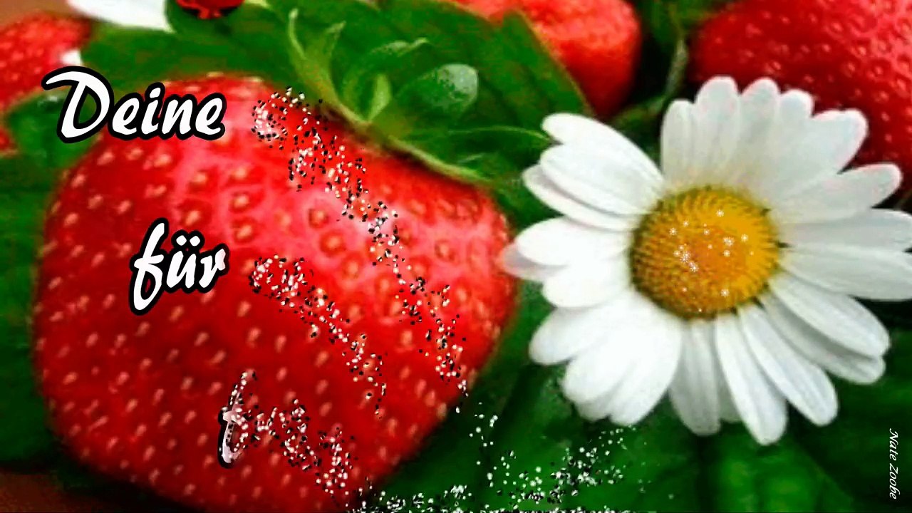 Ich schicke dir Glückskäfer  für eine fröhliche  und  glücklicheWoche