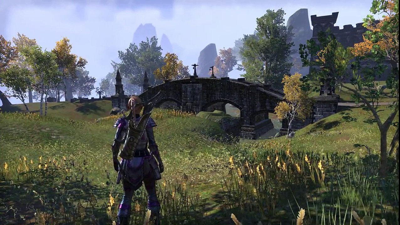 Elder Scrolls Online ESO Wood Elf Templar Thief 2017 12 20 16 12 21 507