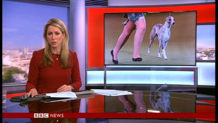 Final of Crufts is interrupted by animal rights protesters