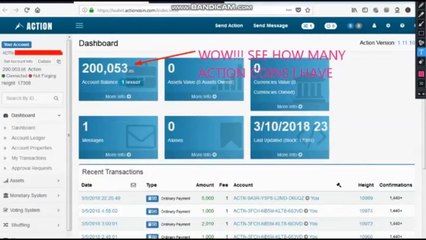 Action Coin Wallet Tutorial