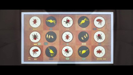 ISLE OF DOGS - Kobayashi's Isle of Dogs