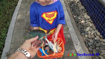 Trò Chơi Đi Săn Và Học Tên Các Con Vật ❤ AnAn ToysReview TV ❤