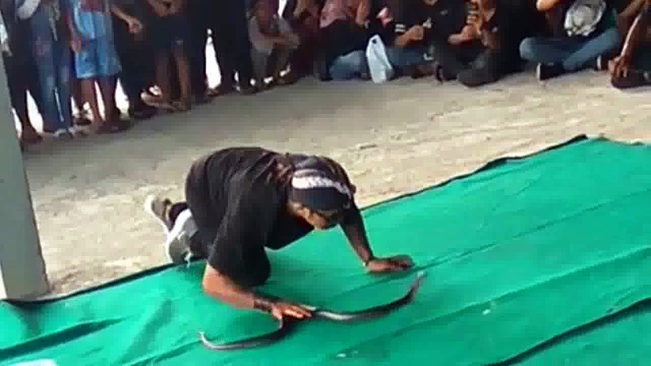 Tips jitu Agar Ular tidak Masuk Rumah