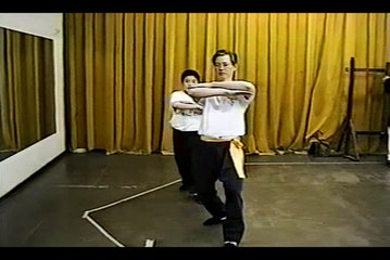 Wing Chun with Terence Yip Siu Nim Tau Application Part 11