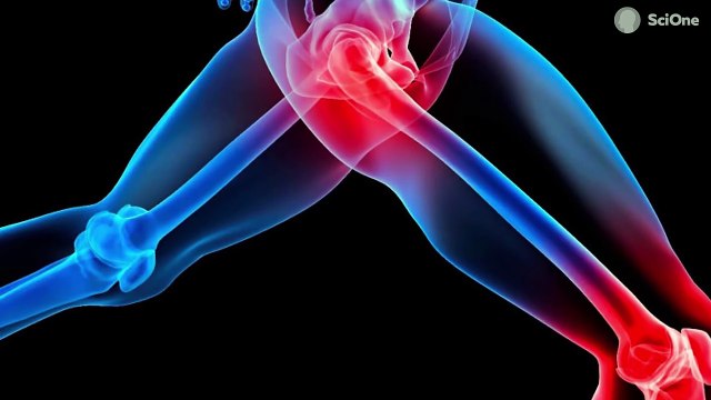 Что наука знает о здоровом питании?